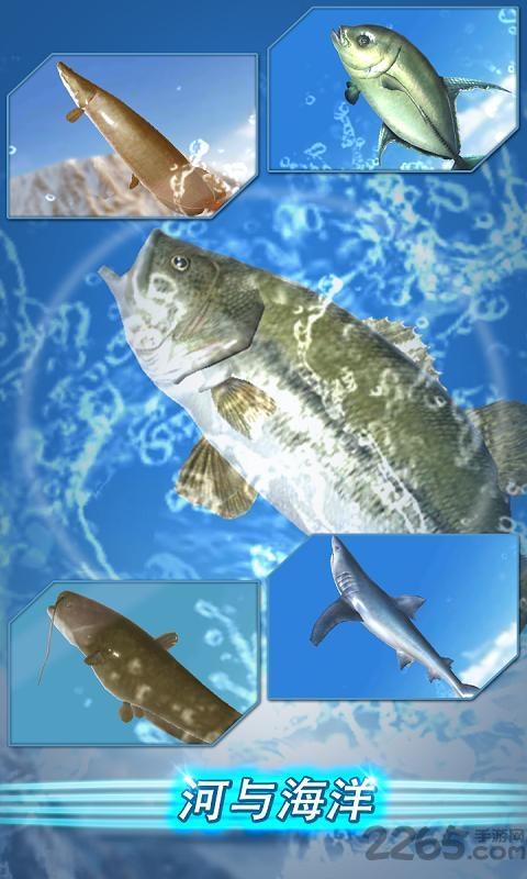 垂钓季节钓鱼达人最新版下载,垂钓季节钓鱼达人,娱乐游戏,钓鱼游戏