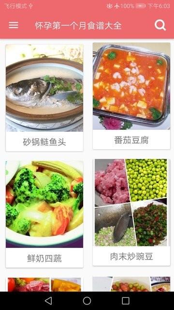 孕妇营养食谱app下载,孕妇营养食谱,食谱app